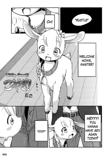 Sheep.jpg