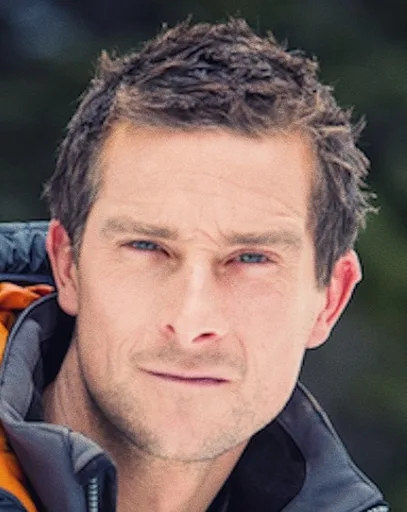 Bear(1).png