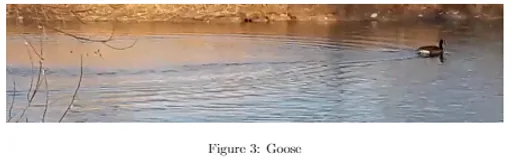 unknown(764).png