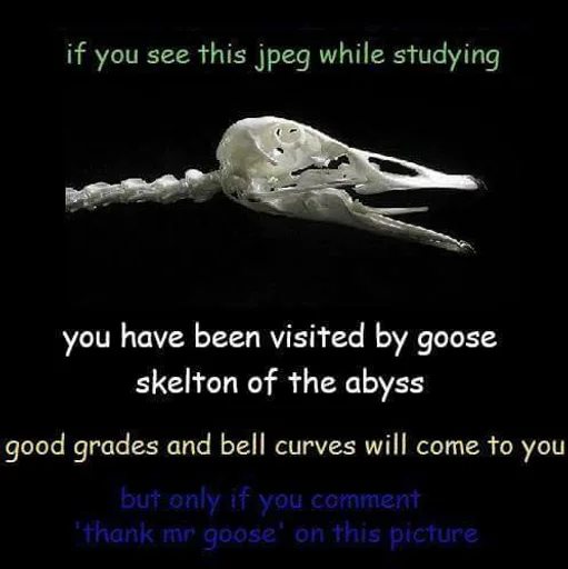 389is0cnm6221.png