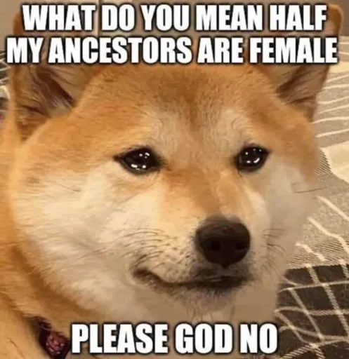 image0-12.png