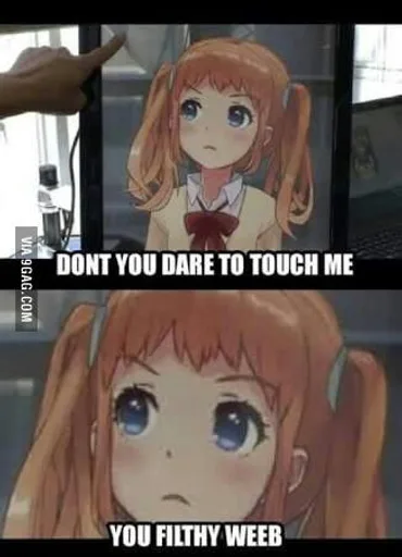 What-Anime-Characters-really-think-about-us.jpg