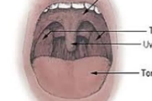 Archived external image