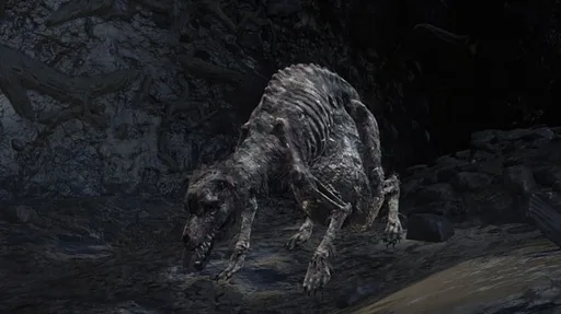 starved-hound-625x350.png