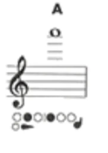 unknown(241).png