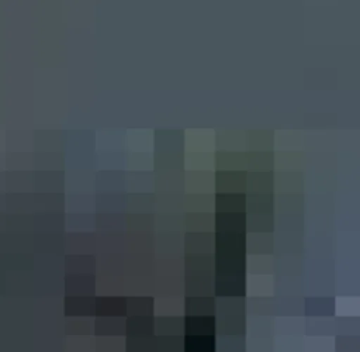 unknown(501).png