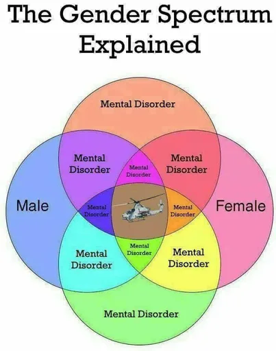 22489861_1990459481171957_22987275629771049_n.png