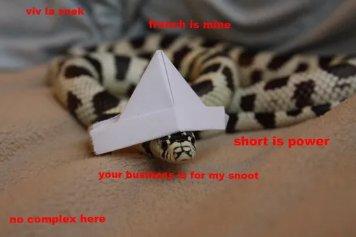 Archived external image