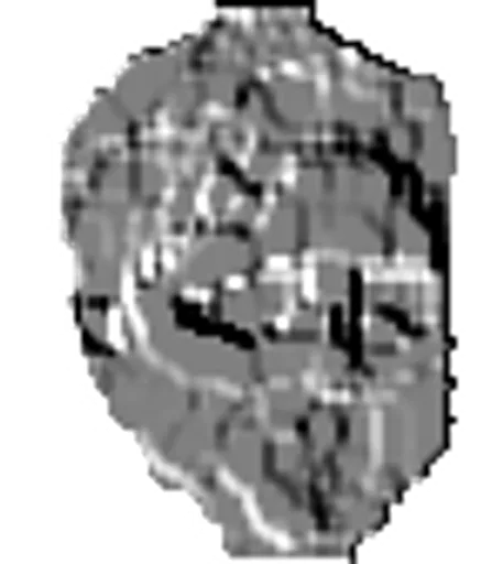 Kapap.png