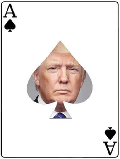 blog_trump_card.jpg