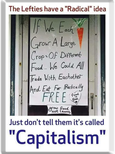 20245839_1658129700888112_458263562995398966_n.png