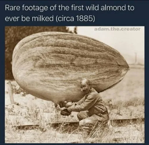 DwE2e9PWkAA38bq.png