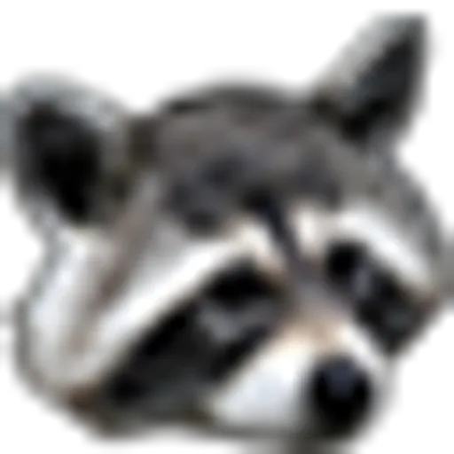 RaccAttack.png