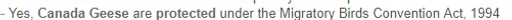 unknown(1033).png