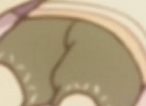 unknown(3653).png