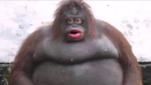 le_monke.png
