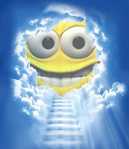 16707331_1945734175655478_2328502670395630809_o.png