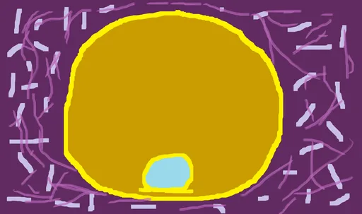 ZOONDAR.png