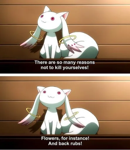 v9Y3r8U.jpg