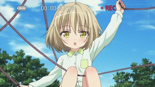 1513368905416.gif