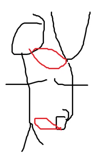Archived external image