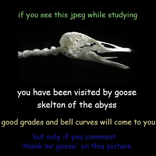 9vrNDi53xt_r1Gu_vMiNdd3LsZiv9vMYCRvjau9EWoQ.png