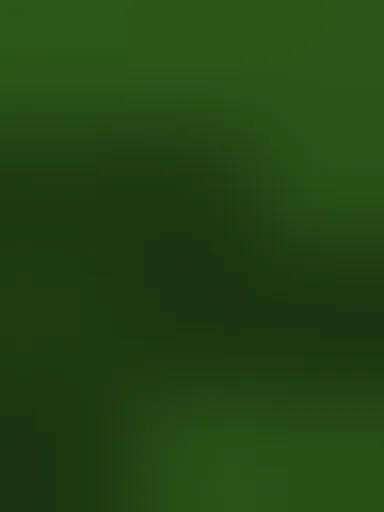 unknown(1304).png