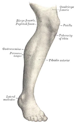 Archived external image