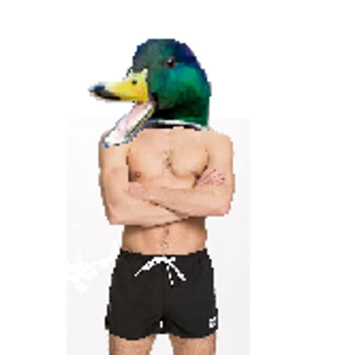 billyquacker.png