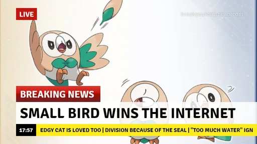 owl.jpg