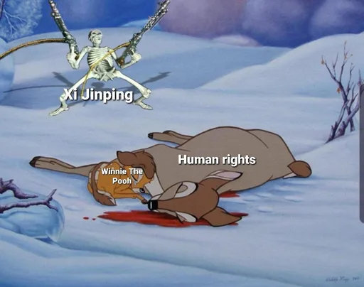 8pjbkcf18gt31.png