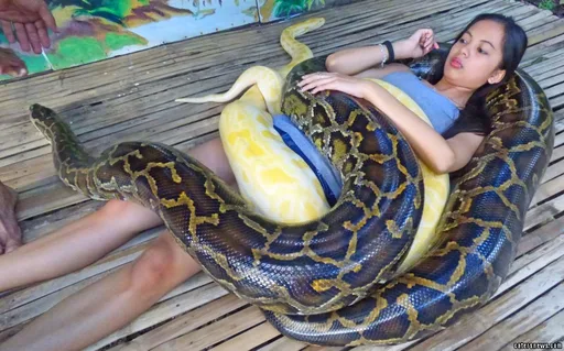 girlsnake.jpg