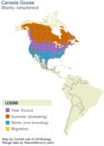 bran_cana_AllAm_map_new.png