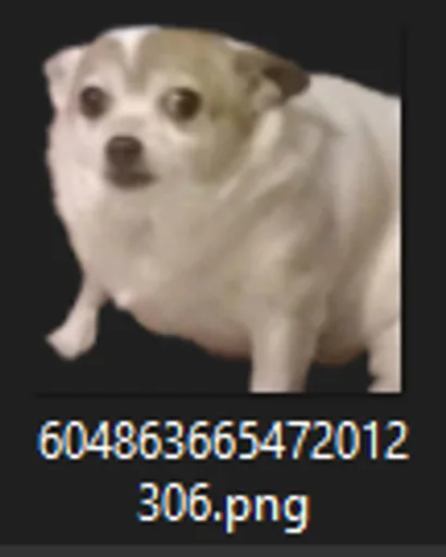 Archived external image