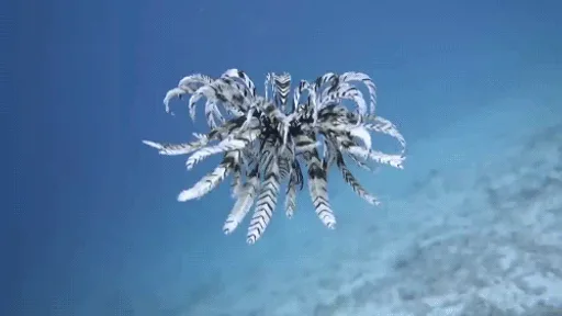 tumblr_oskzyqUAXK1v823q2o1_500.gif