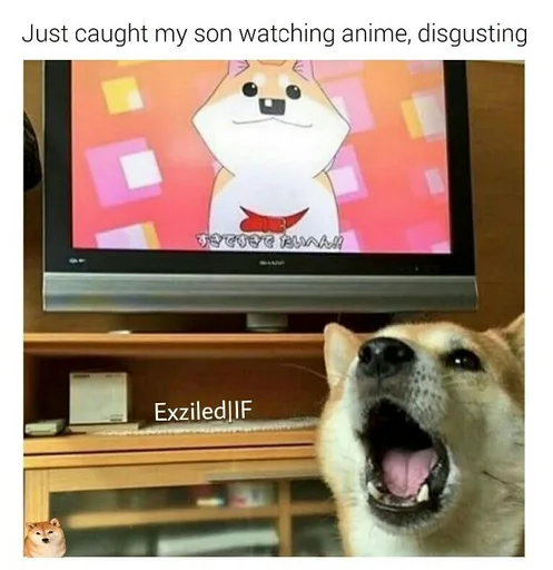 F0XkXSZ.jpg