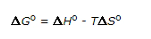 unknown(1050).png