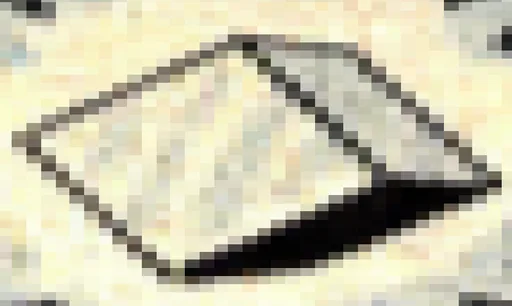 unknown(1571).png