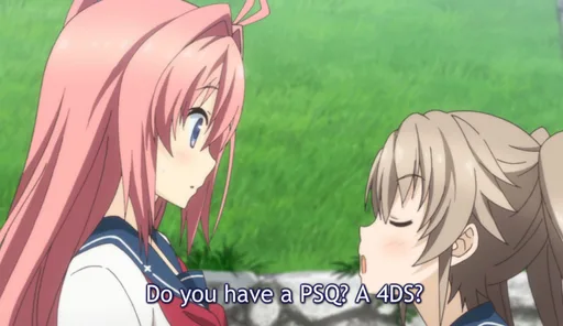 psq4ds.PNG