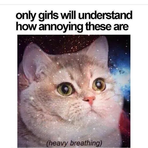 16114799_1941401056088790_2958654587975677259_n.png
