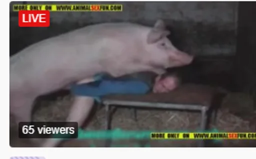 unknown(461).png
