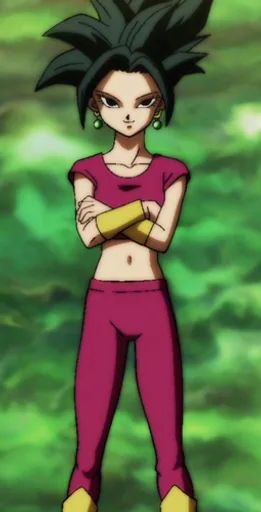 255.png