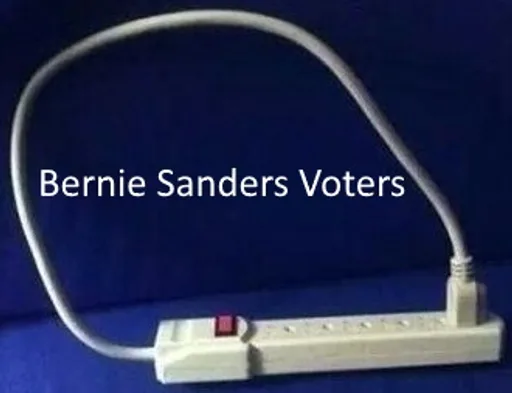 bernie(1).jpg