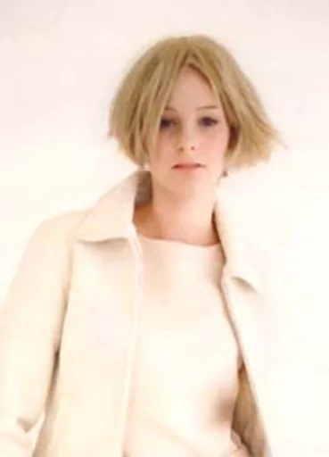 model.png