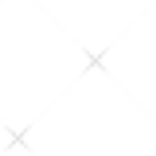 bg_ptn.gif
