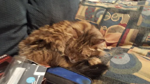 20181231_223758.jpg
