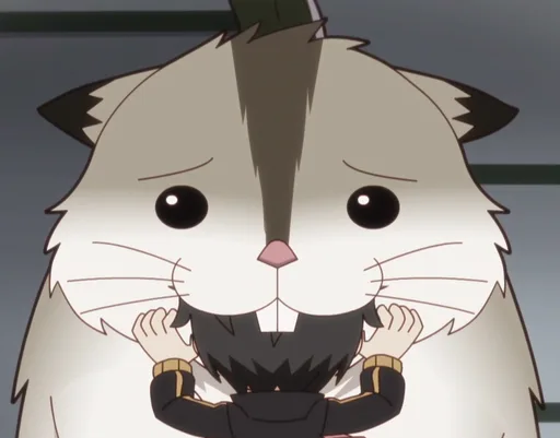 unknown(2704).png