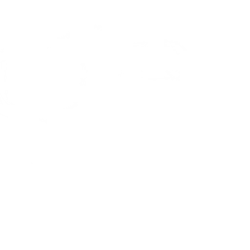 honk.png