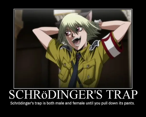 Schrodingerstrap.png