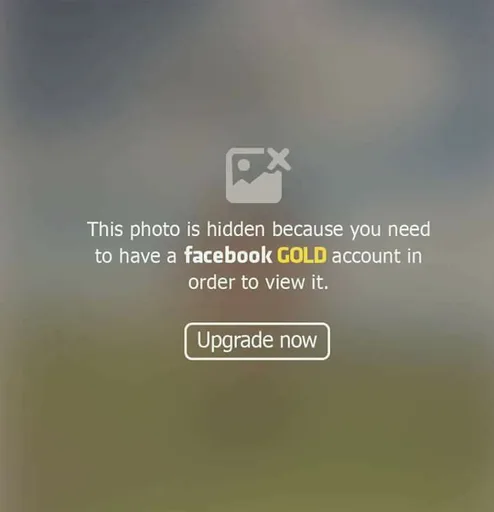 16195973_1328194817267922_2333190540734503624_n.png